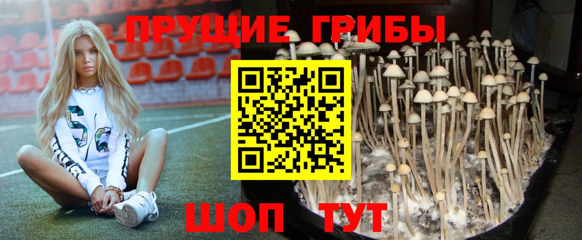 Кимовск  где можно купить наркотик  Вход с VPN  Галлюциногенные грибы мухоморы 
